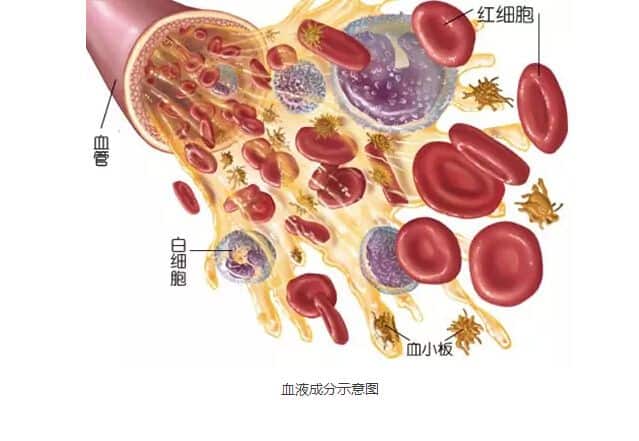 喝酒會得癌症嗎？ 2018開年重磅研究：科學家發現喝酒致癌的原因